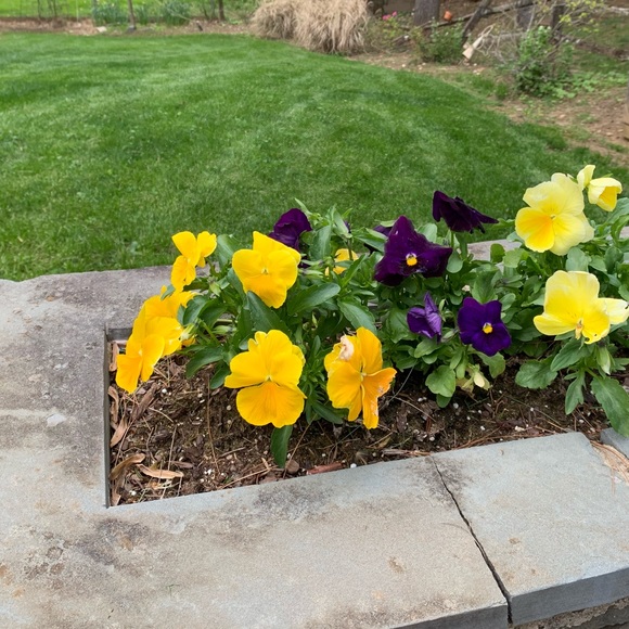 Make Me A Reasonable Offer—Buy with confidence. - Picture 2 of 9